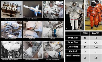 Characterization of Spacesuit Associated Microbial Communities and Their Implications for NASA Missions